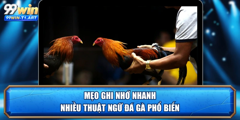 Mẹo ghi nhớ nhanh nhiều thuật ngữ đá gà phổ biến